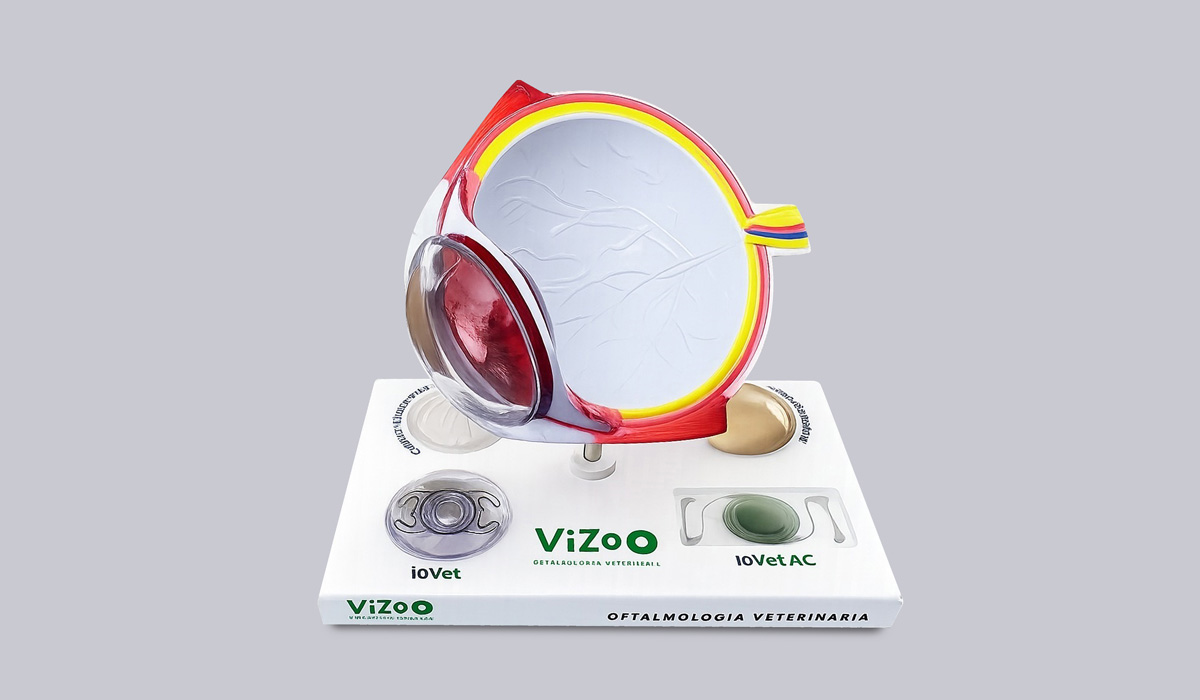 OLHO ESQUEM�TICO VETERIN�RIO